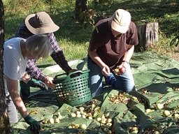 2025-10-17 19.41.29-1